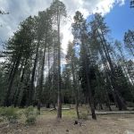 Ridge Campground