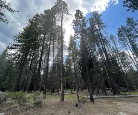 Ridge Campground