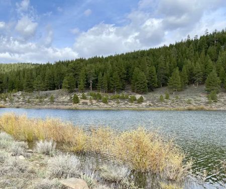 Martis Creek Dam