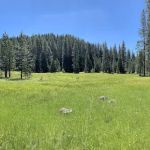 Onion Valley Campground