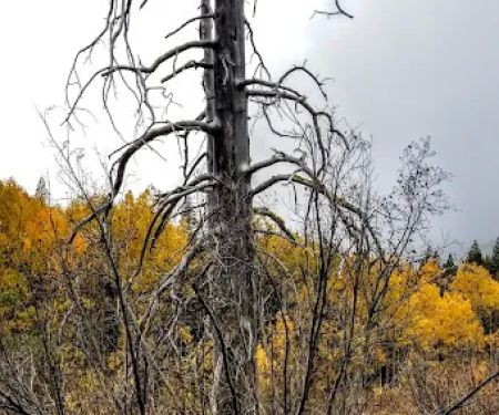 Watson Lake
