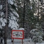 Uncle Tom's Cabin