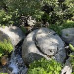 Yellowjacket Campground