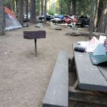 Wench Creek Campground