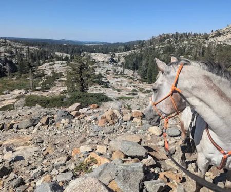 Wrights Lake Equestrian Camp