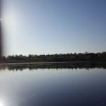 Lower Dells Estates
