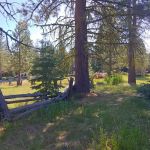 Silver Fork Ranch