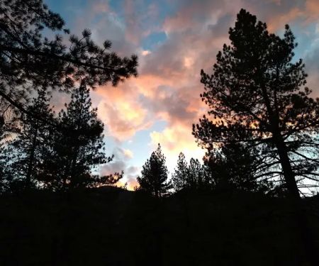 Centerville Flat Campground