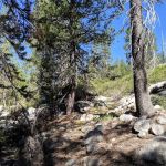 Backpackers Campground