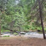 Pipi Campground