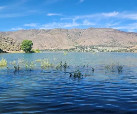 Topaz Lake Recreation Area