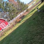 Colonial gardens