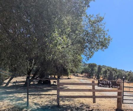 Diamond Gulch Camp