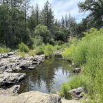 PML Campground