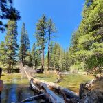 Robinson Creek North Campground