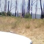 Green Flat Camp