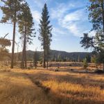 Sweetwater Campground
