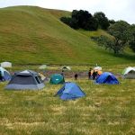 Maud Whalen Group Campsite