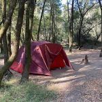 China Camp Campsite