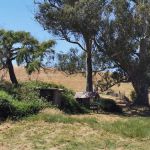 The Grove at Hands Full Farm