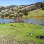 Buck Pasture