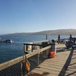 Lawson's Landing