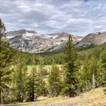 Sawmill Campground