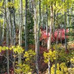 Moraine Campground