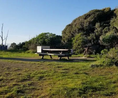 Campsite 4
