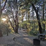 Pantoll Campground