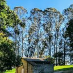 Campground Site 13