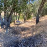 Miti Campground