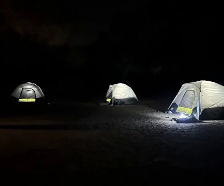 Cedar Group Camp, Del Valle Regional Park