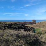 Coast Campground