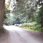 Reef Campground