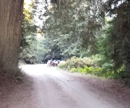 Reef Campground