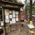 Azalea Campground