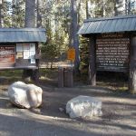 Bridalveil Creek Campground