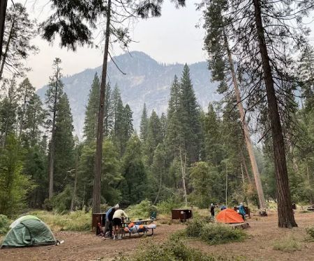 Backpacker's Campground
