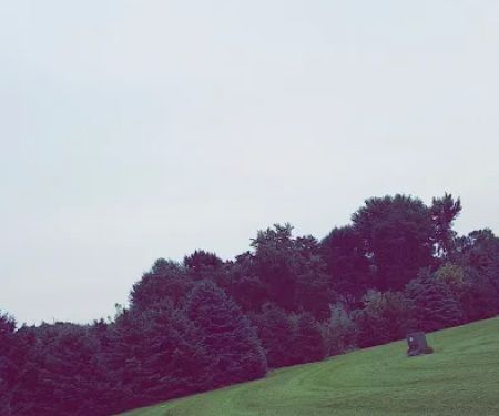 Rambush Estates