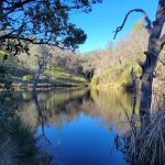 Frogs Lake Camp
