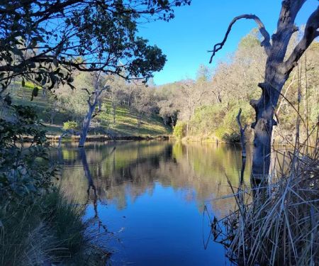 Frogs Lake Camp