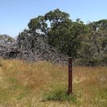 Boyd's Camp