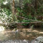 Dunlap Campground