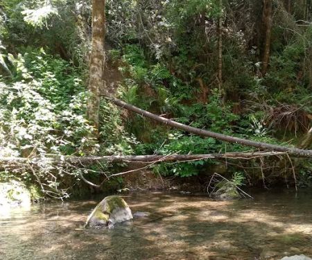 Dunlap Campground