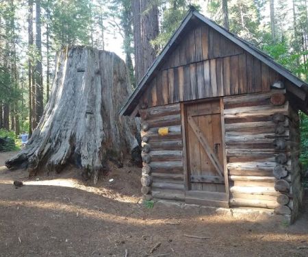 Nelder Grove