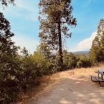 Forks Campground