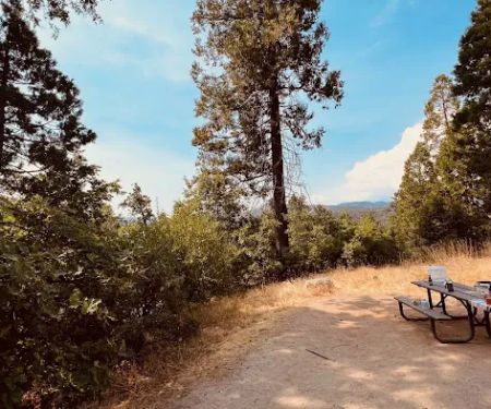 Forks Campground