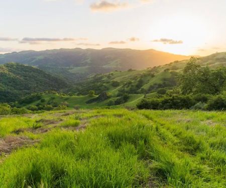 Sunol Backpack Camp