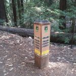 Toyon Campground